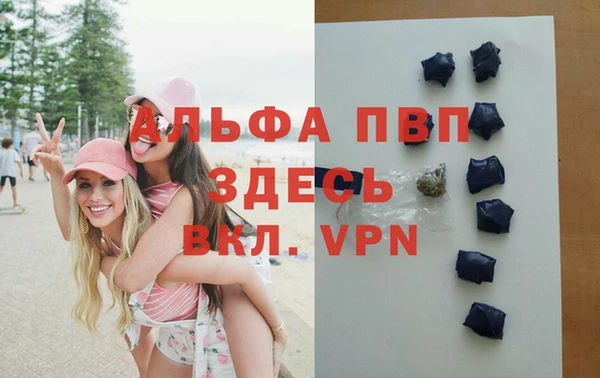 амф Карпинск