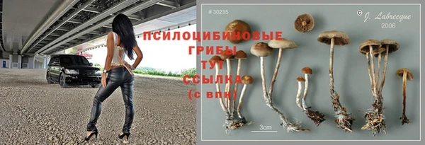 PSILOCYBIN Касимов