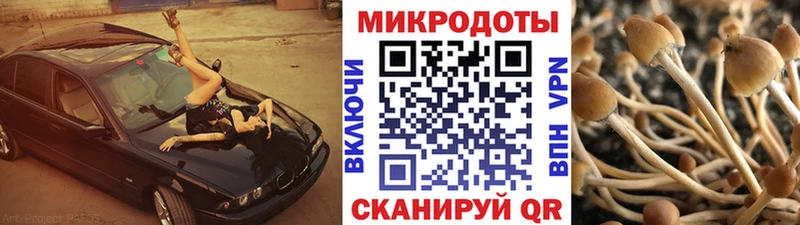 Галлюциногенные грибы MAGIC MUSHROOMS  KRAKEN ТОР  Кашира 