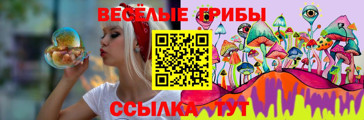 цена   Галлюциногенные грибы GOLDEN TEACHER  Кашира  Вход с VPN  Псилоцибиновые грибы ЛСД 