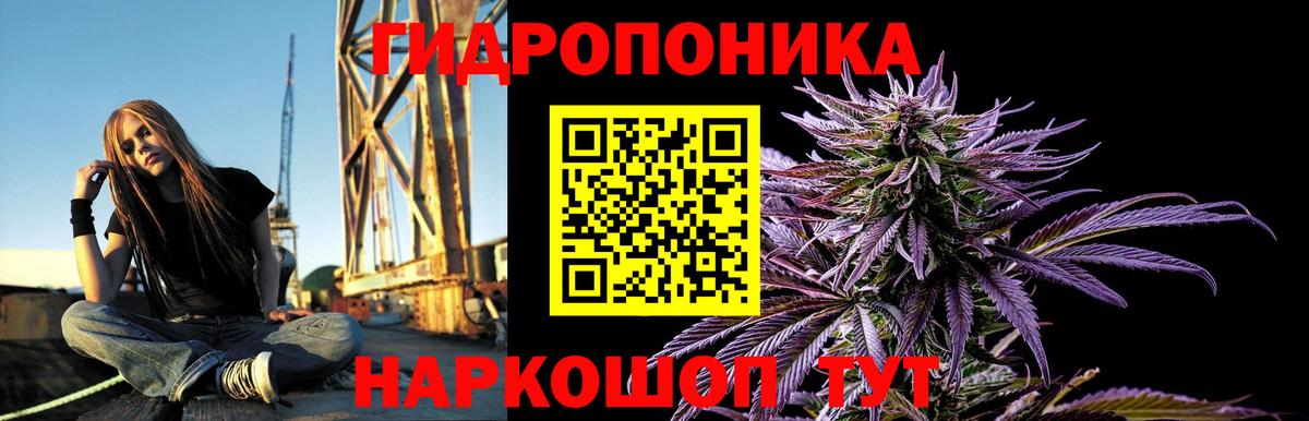 Кашира  Канабис OG Kush  Вход с VPN  МАРИХУАНА планчик  Шишки марихуана план  Бошки марихуана Bruce Banner 
